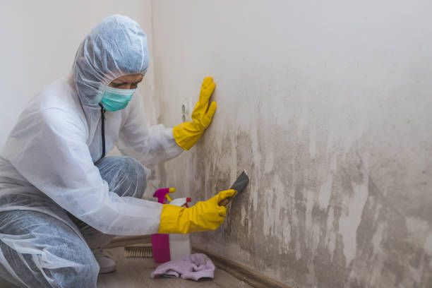 Crawl Space Mold Removal in Bloomingdale, NJ