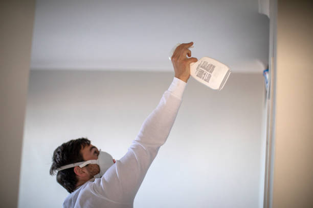 Best Fast Mold Removal  in Bloomingdale, NJ
