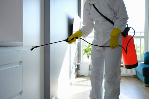Best Crawl Space Mold Removal  in Bloomingdale, NJ